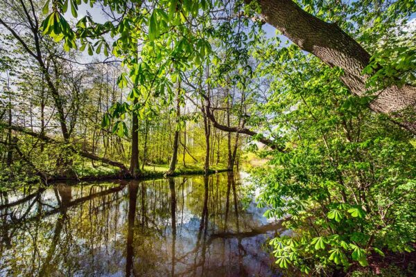 Atrakcje Mrzeżyno. Atrakcje Trzebiatów