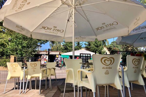 Dom Wczasowy Grot Mrzeżyno. Turnusy Mrzeżyno.